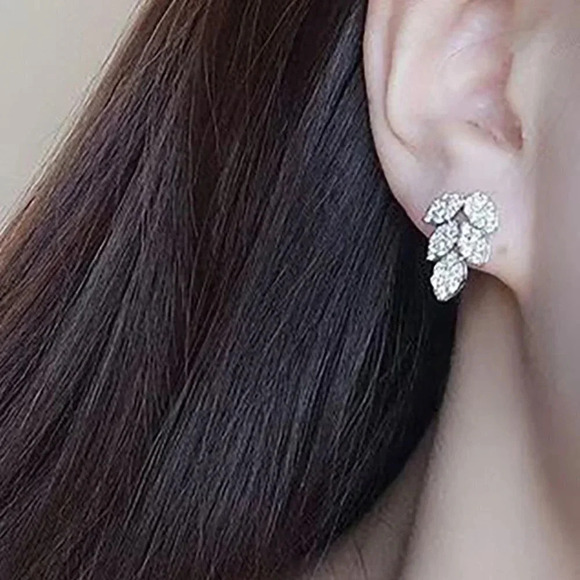 🍂   925 Silver Plated CZ Drop Earrings for Women, FB16FA1071 - Picture 2 of 3